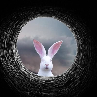 CikCak46072360's profile picture. 
