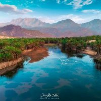 العازف السقطري (@mmdmmd032759485) 's Twitter Profile