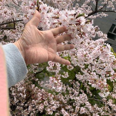 気がついたら大泉洋ファン　NACS 1×8 おにぎりも大好き　藩士になりたい　SONGSはスタッフごと好き　鉄の風鈴の音色に聞き惚れます　谷川俊太郎の詩は心の友　followは共鳴するところを見つけて下さったときに