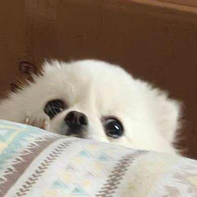 故银さんのプロフィール画像
