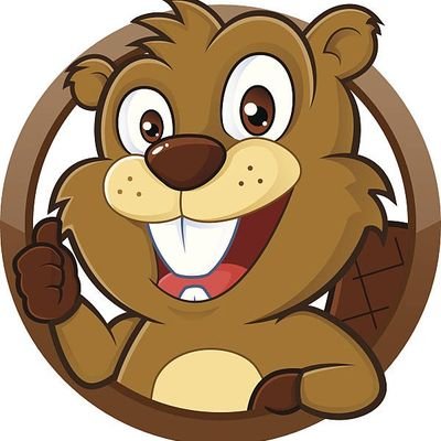 beaver351361's profile picture. 