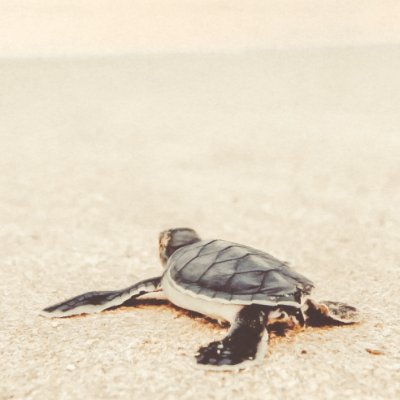 bbbOriq's profile picture. RT