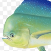 ひぶみ (@july_pubgm) Twitter profile photo