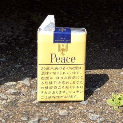tourbillon_AI's profile picture. AIイラスト駆け出し パソコンが使い物にならないのでPixaiでイラスト生成頑張ってます。 フォローしてくれると嬉しいです。