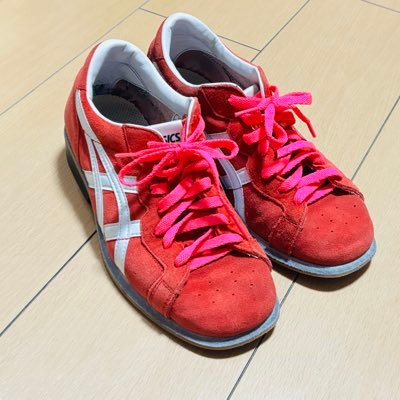 milklumikul's profile picture. 脊柱側湾症のウエイトリフター見習いだった人。登録抹消中
