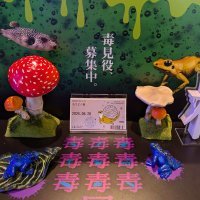 鴆 (@natuganigate79) 's Twitter Profile
