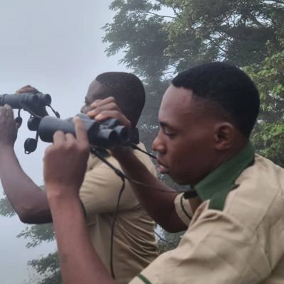 Giroudmiles256's profile picture. 