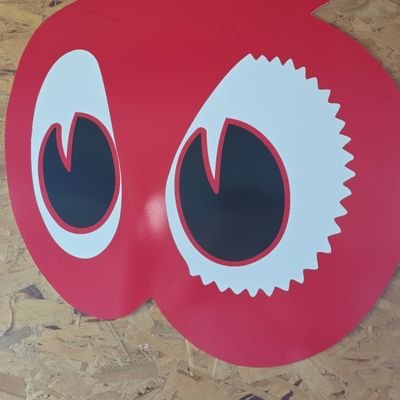 MN_floors's profile picture. just a hard working married man. 2A supporter for life. MAGA