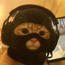 zhi_an26190's profile picture. meme爱好者 $ORG中国社区创建者