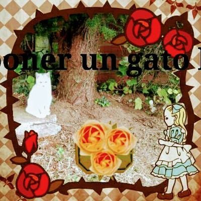 Cuando el sol me da de lado yo nunca camino solo, pues del otro, mi sombra me acompaña. Y cuando el sol me da de espaldas, es ella la que guia mi camino A&P💜🌺