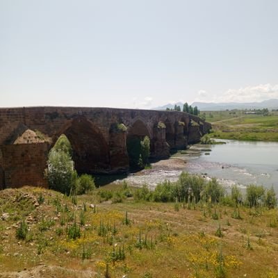 ysnbka's profile picture. 