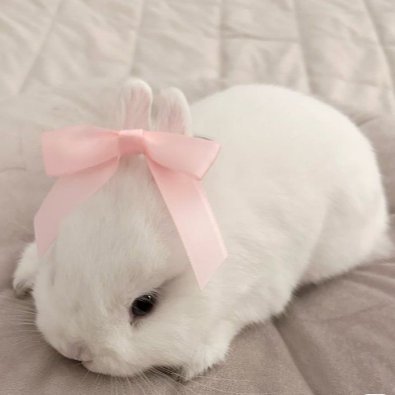 PhillipsRu72932's profile picture. 愛は四つ足の言語です。
無言フォローでごめんなさい
これは私の新しいアカウントです
フォローしてください