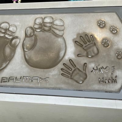 OY4x9mjYoBzLOqD's profile picture. 