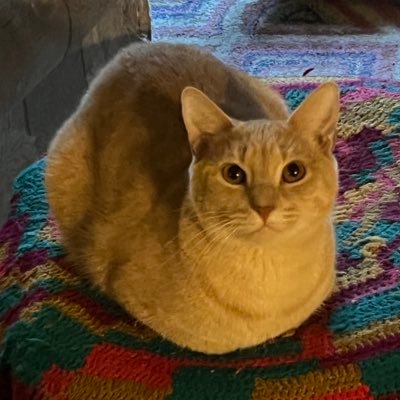 AndresCroque's profile picture. Internet psyop artist