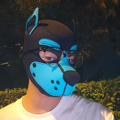 xioxing7522899's profile picture. 江苏扬州的乖狗狗🐶听话，粘人