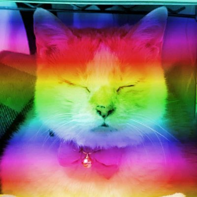 よしよしページ 81ocal+J5NL._AC_CR0,0,0,