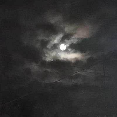 GaneshP35073053's profile picture. those who forget their past are condemned to repeat it;