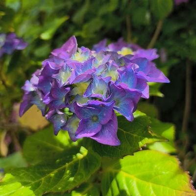 Delbee661622881's profile picture. 