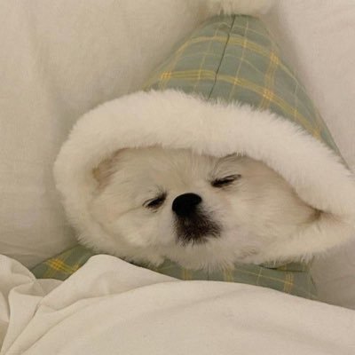 24210m's profile picture. 思い出は綺麗なままに