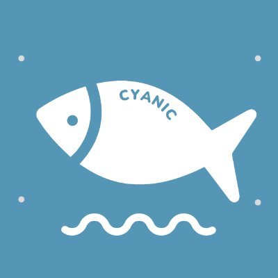 cyanicccc's profile picture. Kaggle Novice 🏅0🥈0🥉0
between blue and green