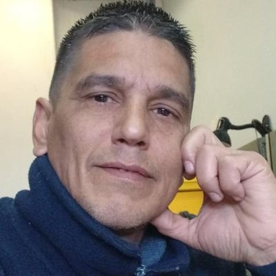 bruno0817072229's profile picture. 