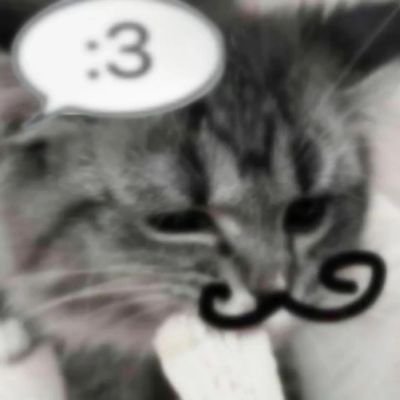 YYYuBei's profile picture. 中文/🐰🐱支持感謝🥺🙏💖