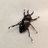 roppy_20250614's profile image