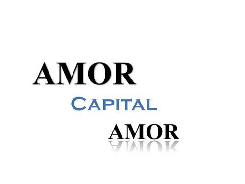 Amor is an Infrastructure Development and Investment Company