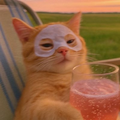 tweetashorty's profile picture. 