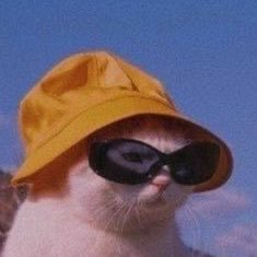 hailhaikl's profile picture. Hurt in private, heal in silence, shine in public