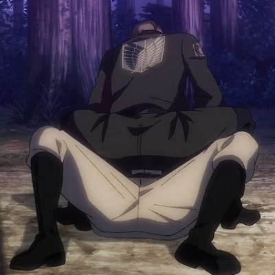20↑ | Multifandom&Multishipper | DC/ AOT / Metal Gear/ Genshin Impact/Hades/Star Wars/The Witcher etc. | not good at any languages | bottom!Jean enjoyer🔄❌