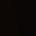 OsamaBinSpinnin's profile picture. All praise be to الله