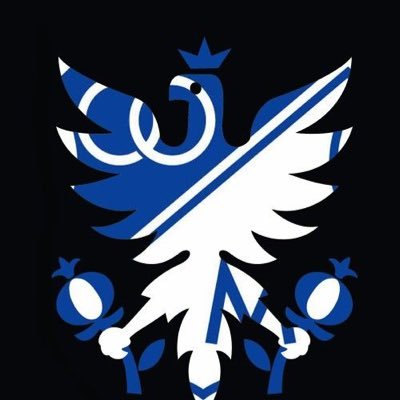 leonardopimien1's profile picture. Médico Internista HUCSR-FUJNC.