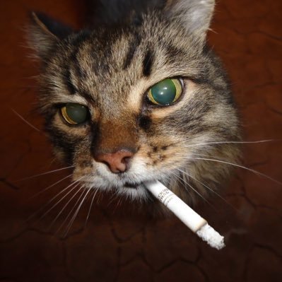 aethus3's profile picture. Graphic Design