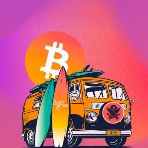 Surfin'Bitcoin Profile