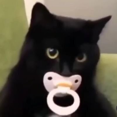 @concerta55