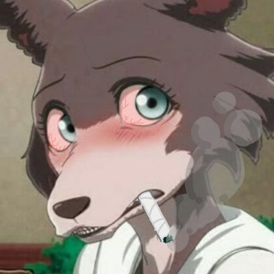 Nuyols1's profile picture. 25 years old