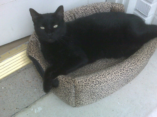 tjsrp4's profile picture. 