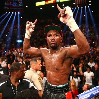 BoxingTurf Profile