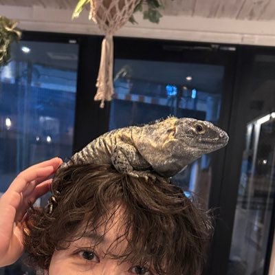 霜月さんのプロフィール画像