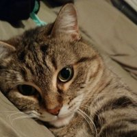 effetic (@effeticfps) 's Twitter Profile Photo effetic (@effeticfps) 's Twitter Profile Photo