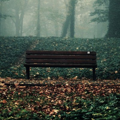 brewdir's profile picture. 