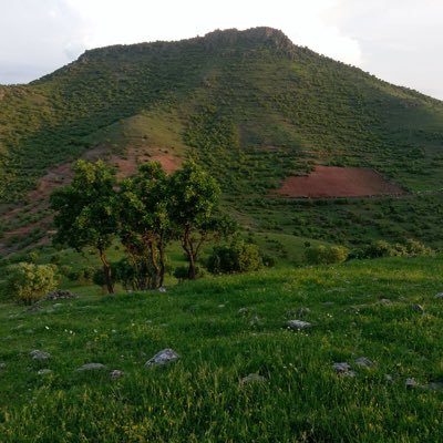 hasancan8472's profile picture. başur