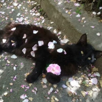潘子瑭さんのプロフィール画像