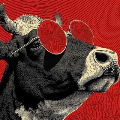 ChidorAlain's profile picture. ... passionné et bavard ( informatique - art et innovation)