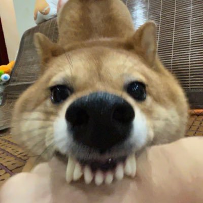 nmacts33's profile picture. 오따끄가 살기좋은 세상을 만들자,~.~