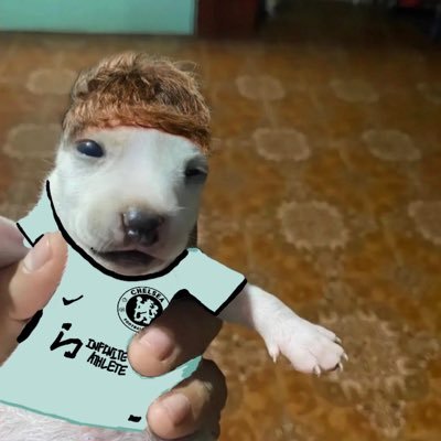 Analysts || backup || EF8 CP10 MC25 NJ15 || ✝️ || @kovaicft || @chelseafc || @bleachanimation