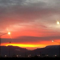 Isabela Pérez Vargas (@perez_isab2044) 's Twitter Profile