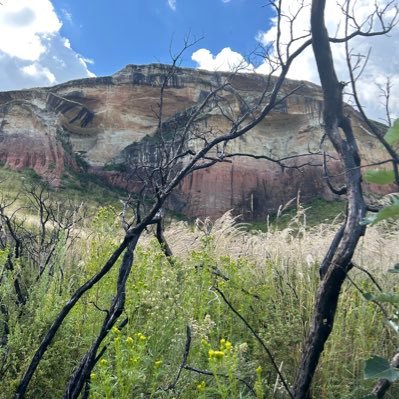 MaryM2905's profile picture. 