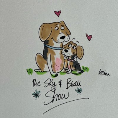 I’m Beau the Beagle named after the Beaufort Mountains on Vancouver Island, BC. I have a baby beagle sisfur Sky. Our sisfur IslandKaia 😇🌈started this account.